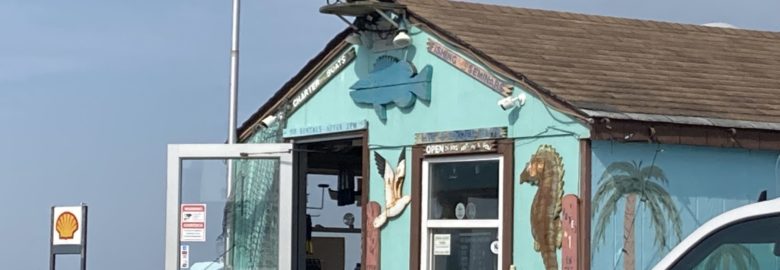 No Bones Bait & Tackle Shop