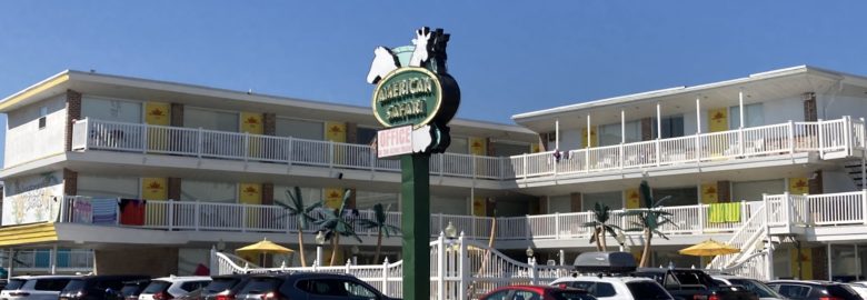 American Safari Motel